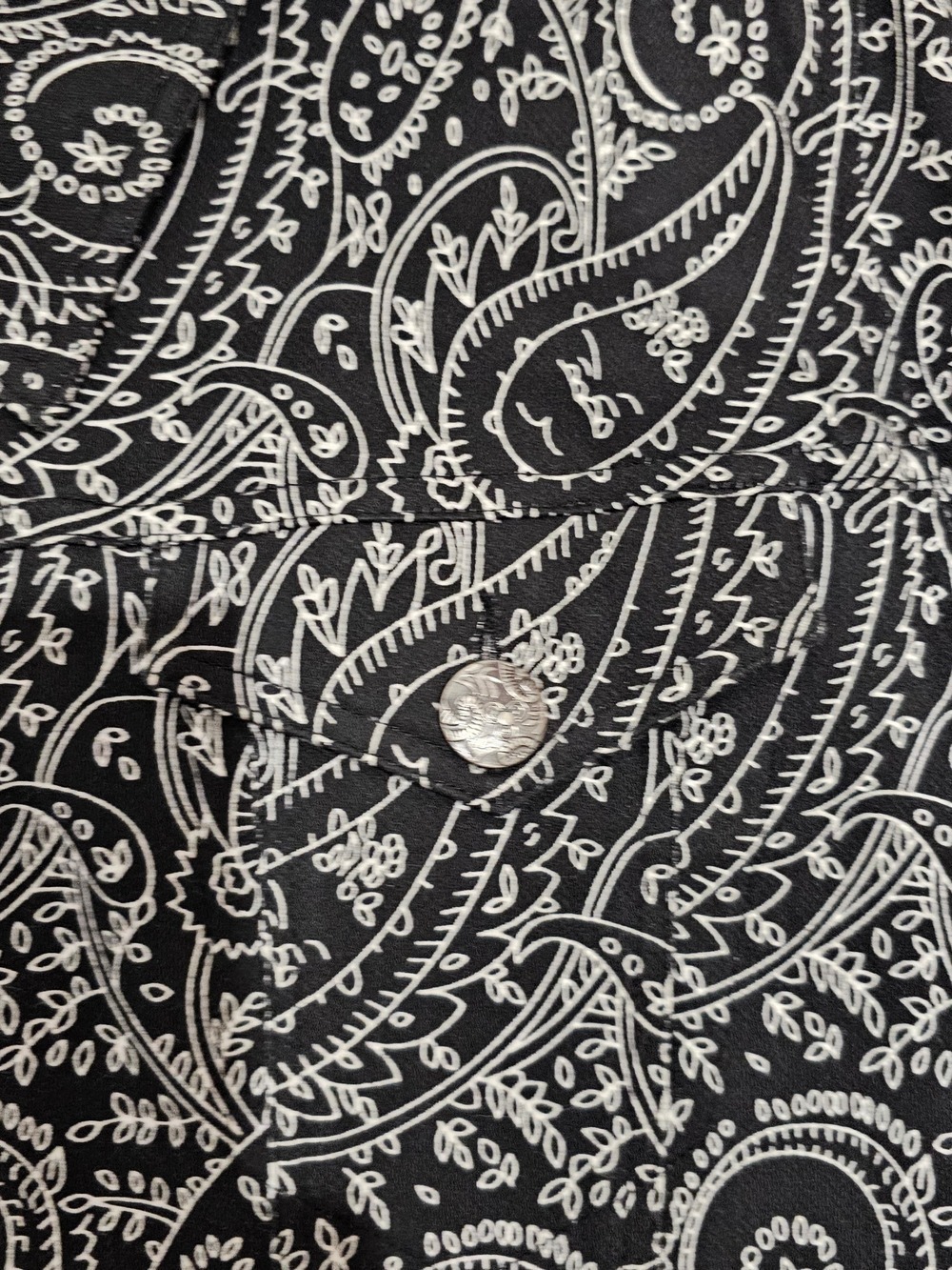 Blue Sky Fair Trade Cotton  Paisley Western Jacket 2X Boho Ranchwear Cottagecore - Picture 7 of 16